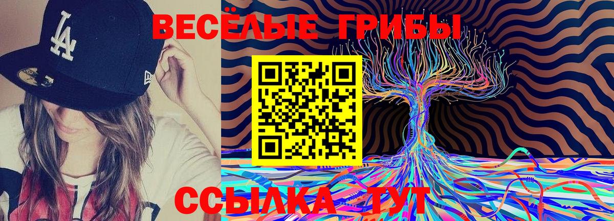 Псилоцибиновые грибы Magic Shrooms  Вход с VPN  Свободный 
