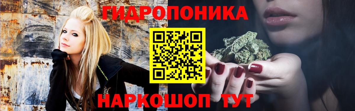 Бошки Шишки план Свободный